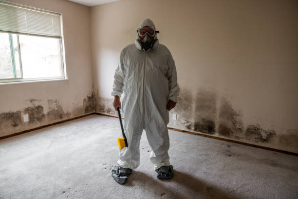 Reliable Palouse, WA Mold Remediation Solutions